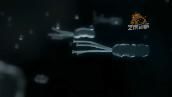 醫(yī)學三維動畫制作圖片
